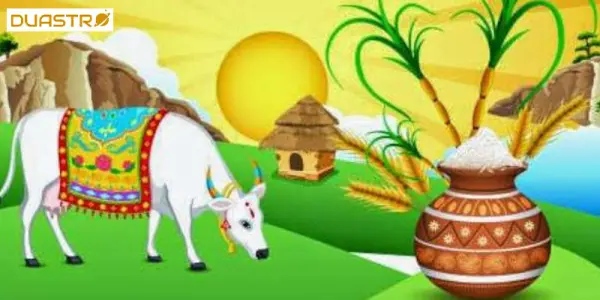 Pongal History, Story, Benefits, Dos and Donts, FAQ